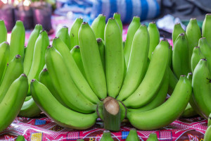 Зеленые бананы